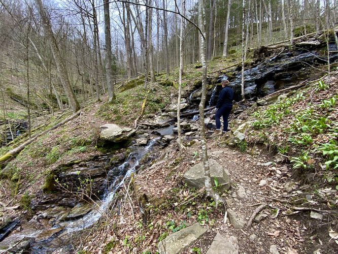 North Branch Falls, multi-tiered hillside waterfall