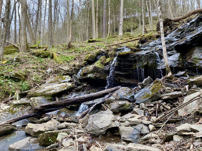 North Branch Falls, multi-tiered hillside waterfall