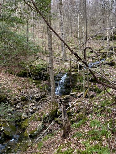 Waterfall, approx. 10-feet tall