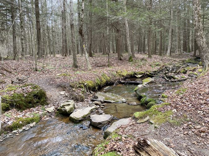 Creek crossing at Cold Run