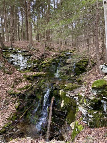 Upper Cold Run Falls, 20-feet multi-tiered / 60-feet tall total