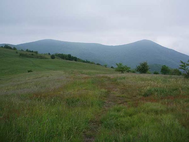 Cole Mountain Hike - Cole Mountain Hike 061106 album