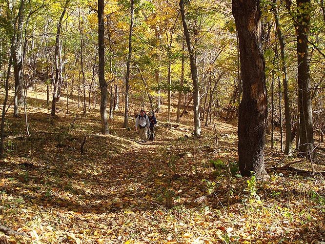 Picture 8 of Cole Mountain Hike 101908