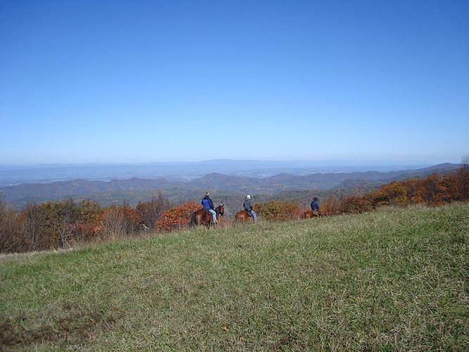 Picture 6 of Cole Mountain Hike 101908