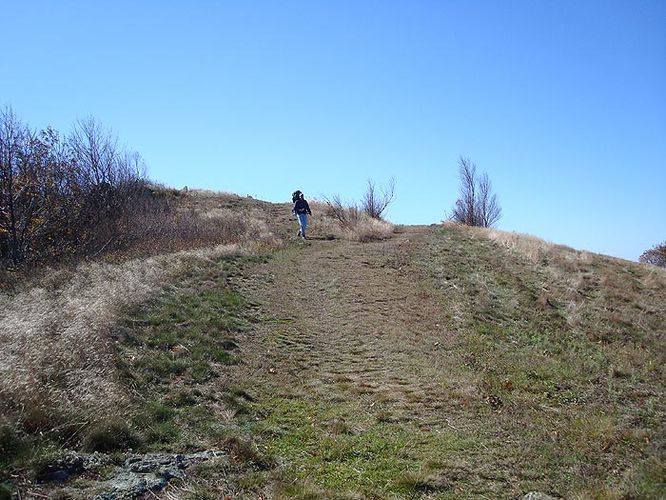 Picture 4 of Cole Mountain Hike 101908