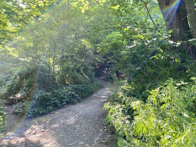 Trailhead for Conklin's Gully Loop
