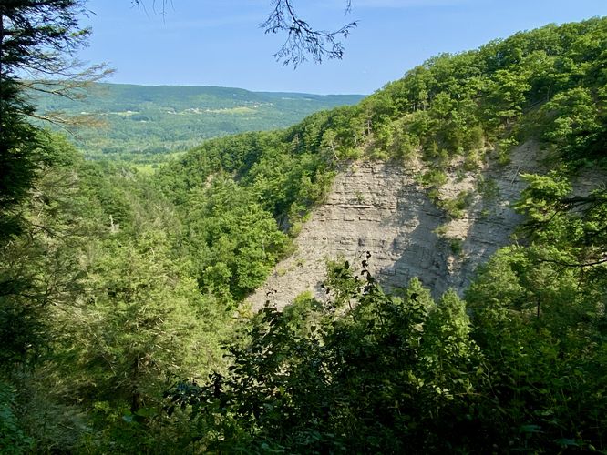 View into Conklin's Gully