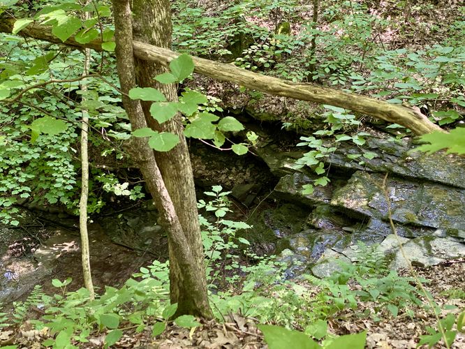 6-foot tall Waterfall (dried-up in July)