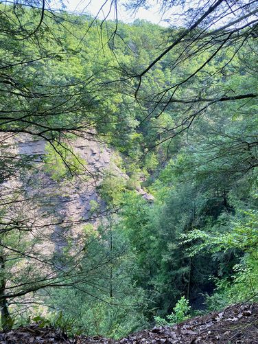 Picture 8 of Conklins Gully Loop