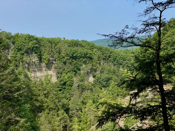 View into Conklin's Gully gorge