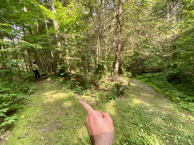 Left-hand turn to stay on loop (look for a path that sits above adjacent trails)