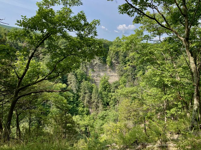 View into Conklin's Gully