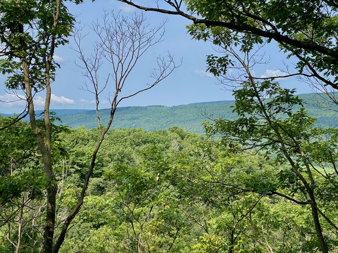 View of neighboring hills from the slopes at Conklin's Gully
