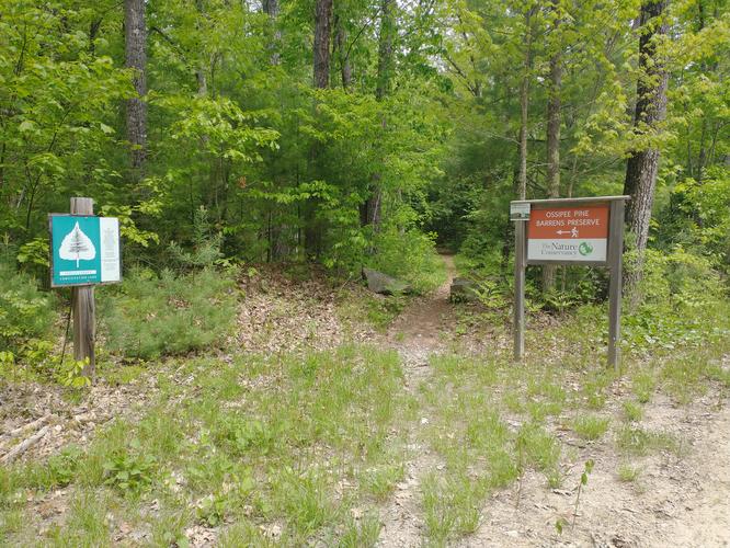 Trail entrance 