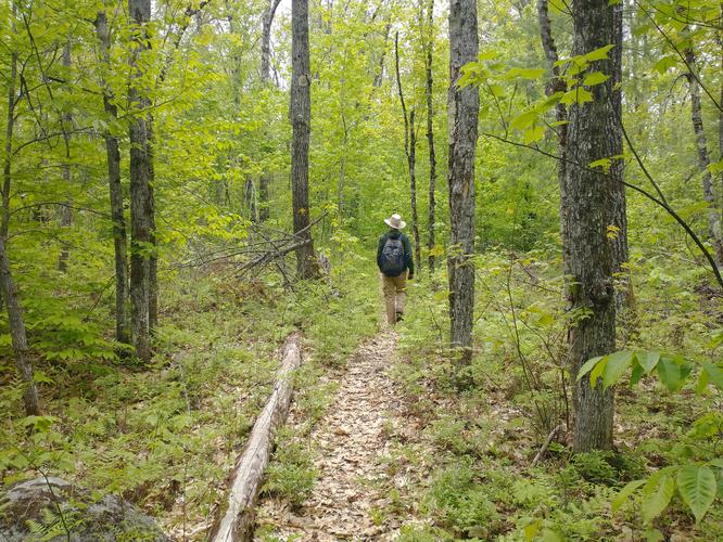 Example of trail substrate.