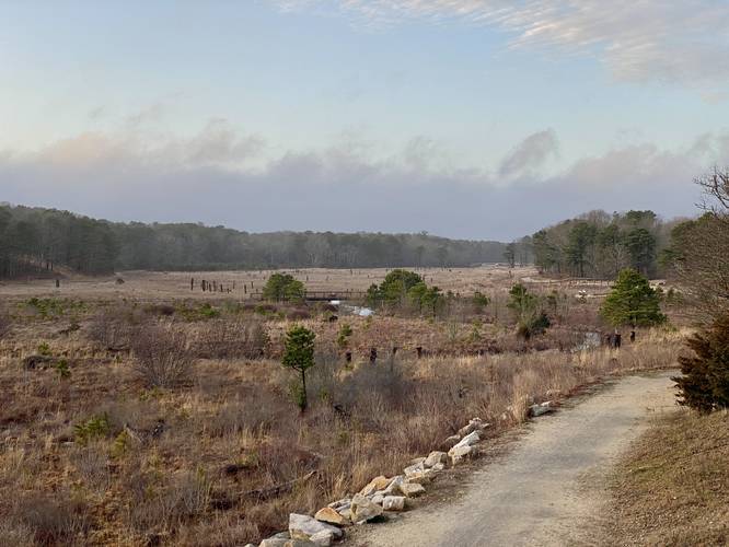 View of the Coonamessett River from the overlook
