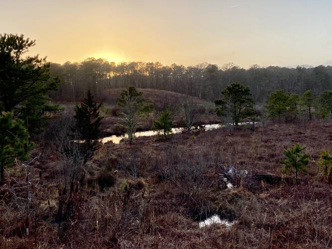 View of the Coonamessett River at sunset
