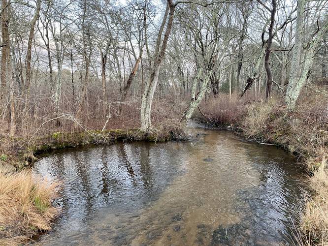 Dexter's Mill Crossing