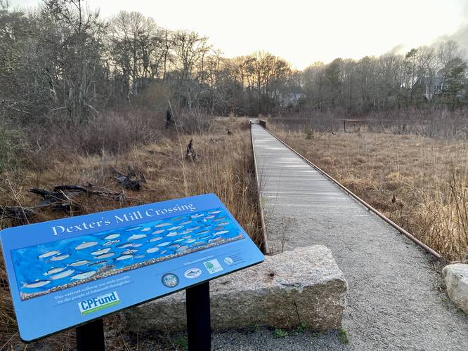 Boardwalk crosses the swampy area and over Dexter's Mill Crossing