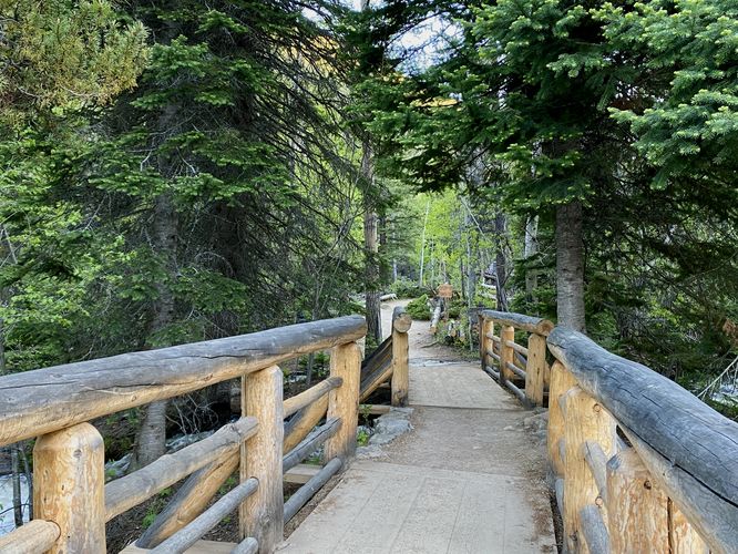 Wooden bridges cross North Saint Vrain Creek