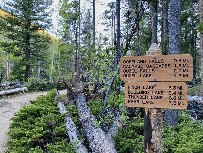 Copeland Falls trail sign