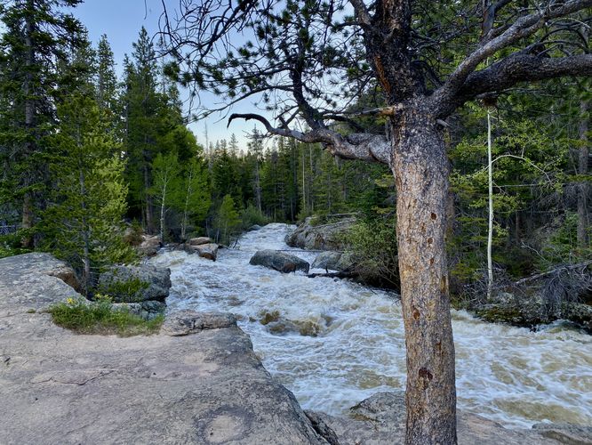 View of North Saint Vrain Creek