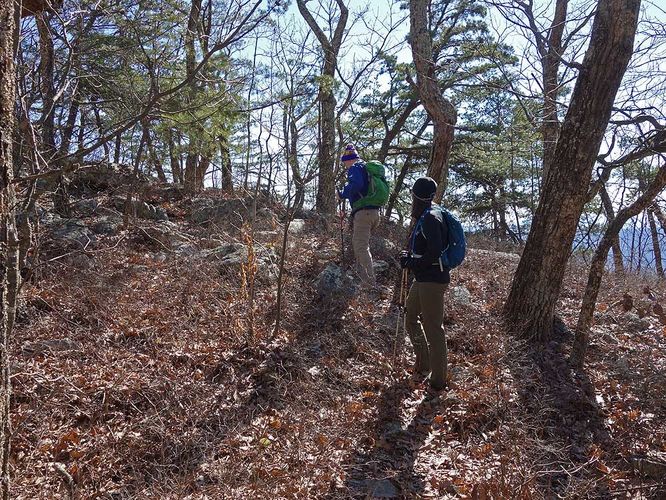 Picture 7 of Copernicus Ridge Hike 031619
