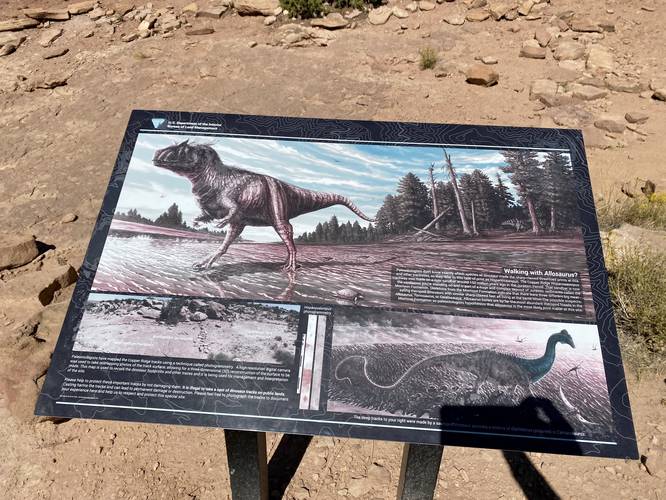 Interpretive sign about dinosaurs and footprints