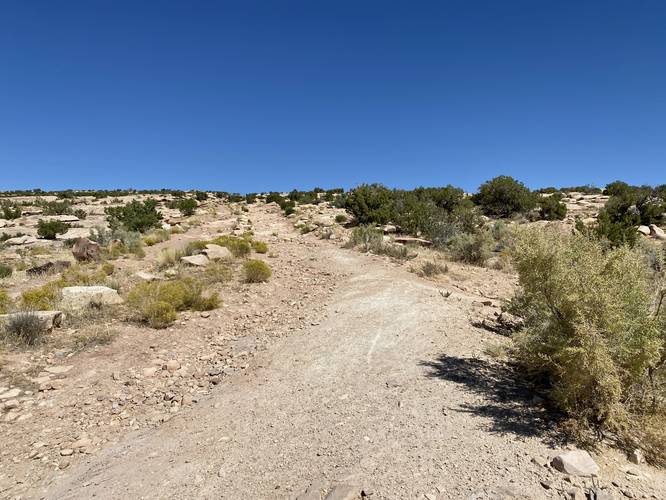 Hiking up the hill to reach the dinosaur footprints (trackways)