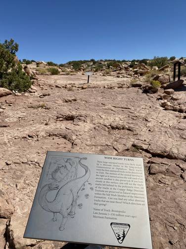 Sauropod tracksite (wide circular footprints)