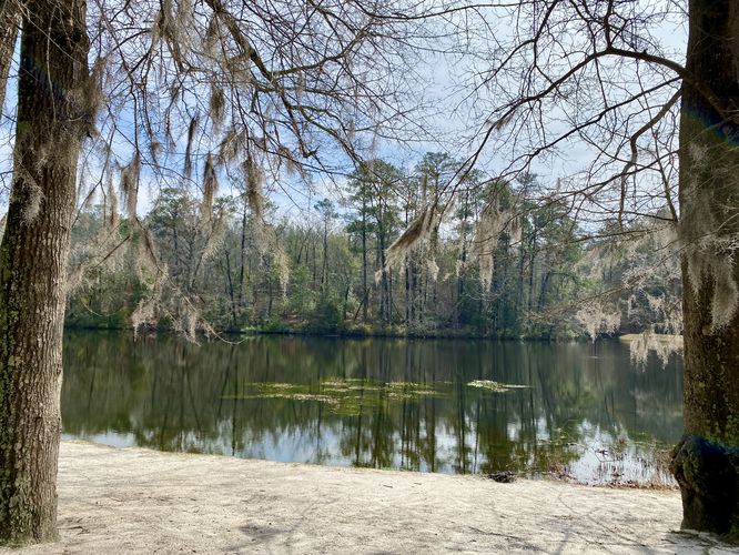 View of Old Levi Mill Lake (w/spanish moss)