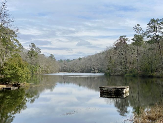 View of Old Levi Mill Lake