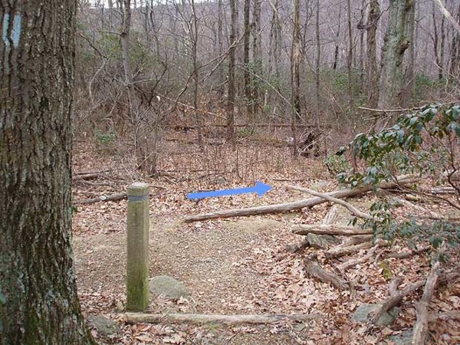 Picture 26 of Corbin Mountain Hike 120305