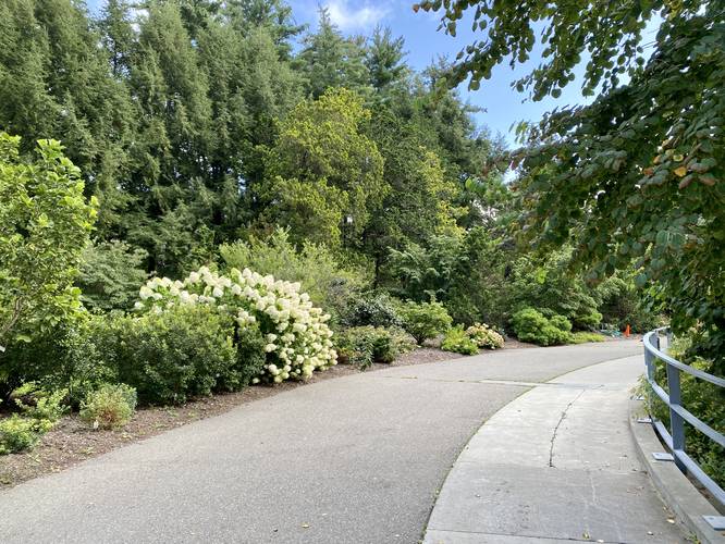 Picture 2 of Cornell Botanic Gardens Loop