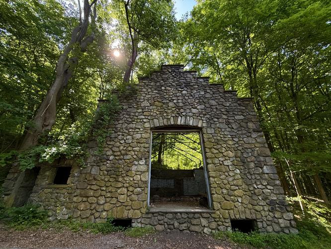 Cornish Estates greenhouse ruins