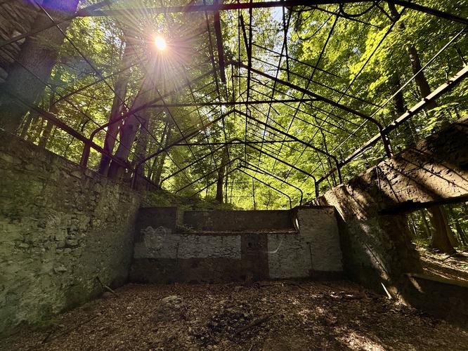 Inside the abandoned greenhouse