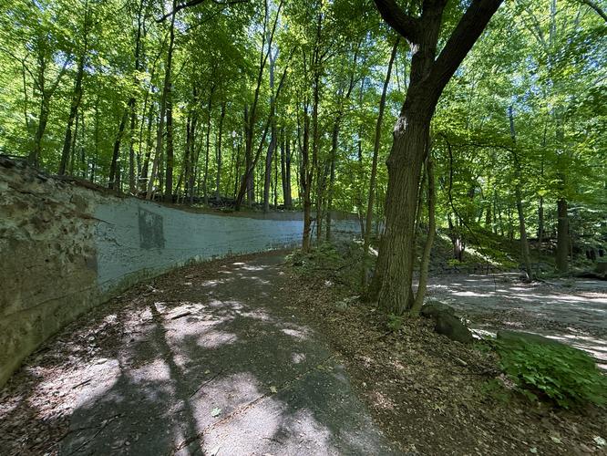 Continuation of the Cornish Trail (long-abandoned driveway)