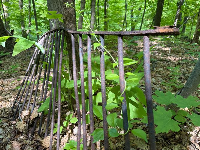 Picture 44 of Cornish Estate Ruins Trail