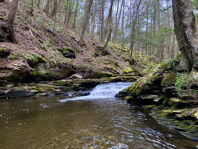 Swimming hole w/2-foot cascade