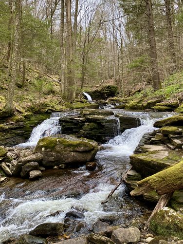 Double Cascades, approx. 3-feet tall