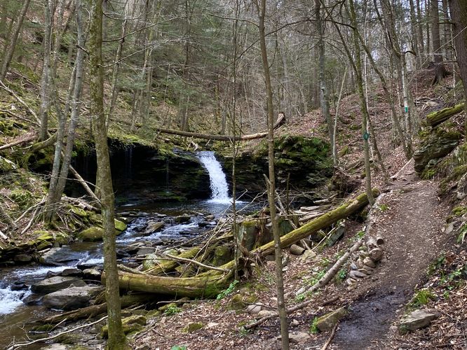 Picture 18 of Cottonwood Falls Loop