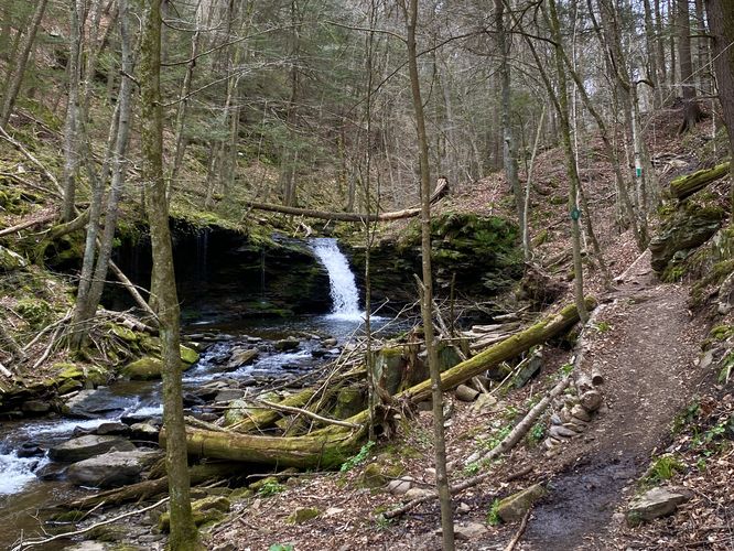 Picture 18 of Cottonwood Falls Loop