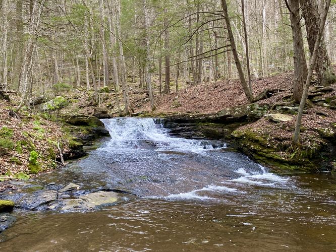 Lower Falls, approx. 6-feet tall