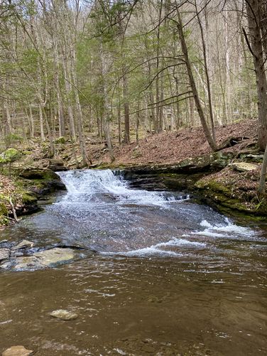 Lower Falls, approx. 6-feet tall