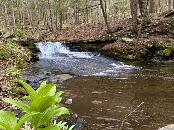 Lower Falls, approx. 6-feet tall