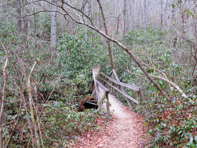 Picture 4 of Cove Creek Falls Hike 011617
