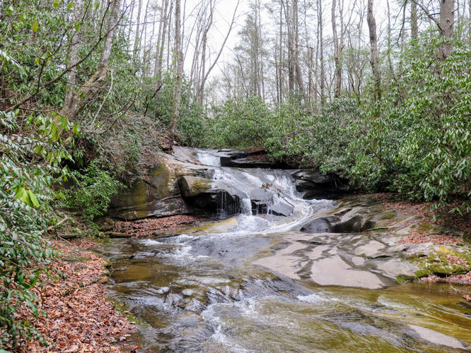 Picture 5 of Cove Creek Falls Hike 011617