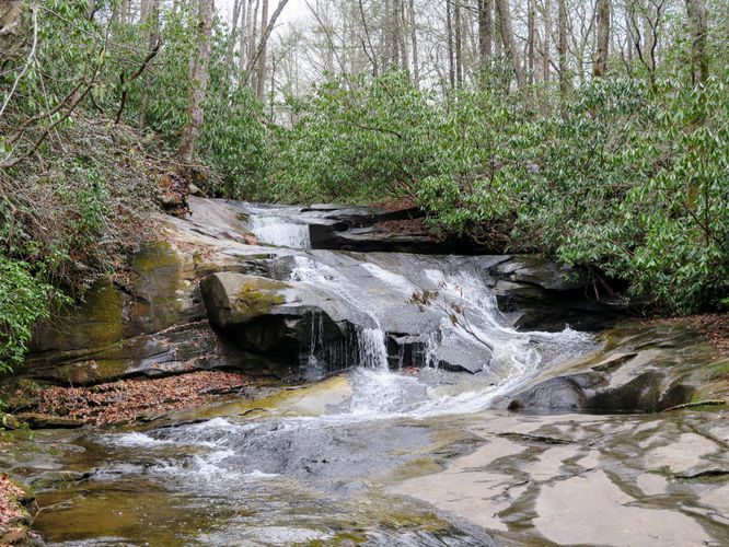 Picture 6 of Cove Creek Falls Hike 011617