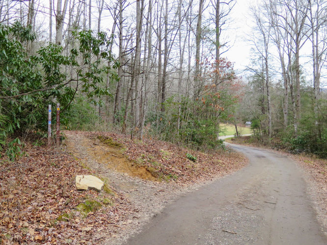Picture 7 of Cove Creek Falls Hike 011617