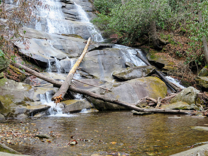 Picture 13 of Cove Creek Falls Hike 011617